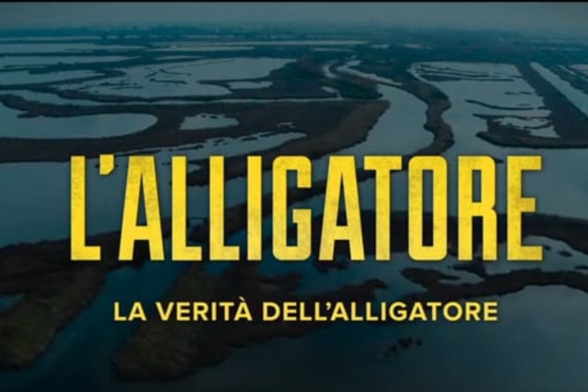 l'Alligatore