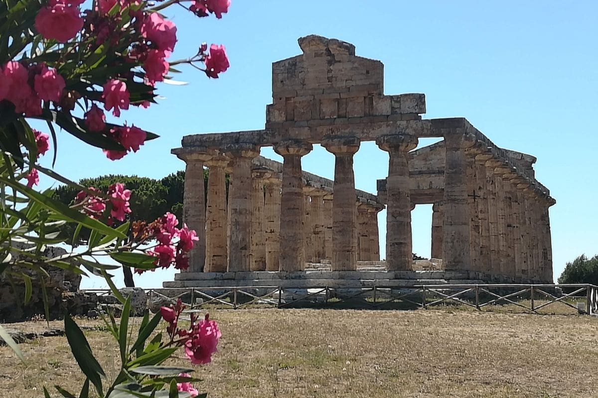 Tempio di Paestum