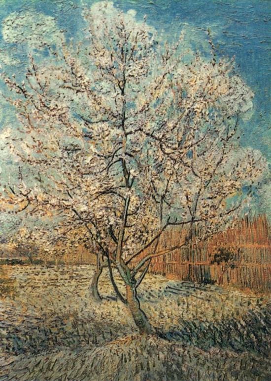 Vincent van Gogh: tra arte e turbamento 1
