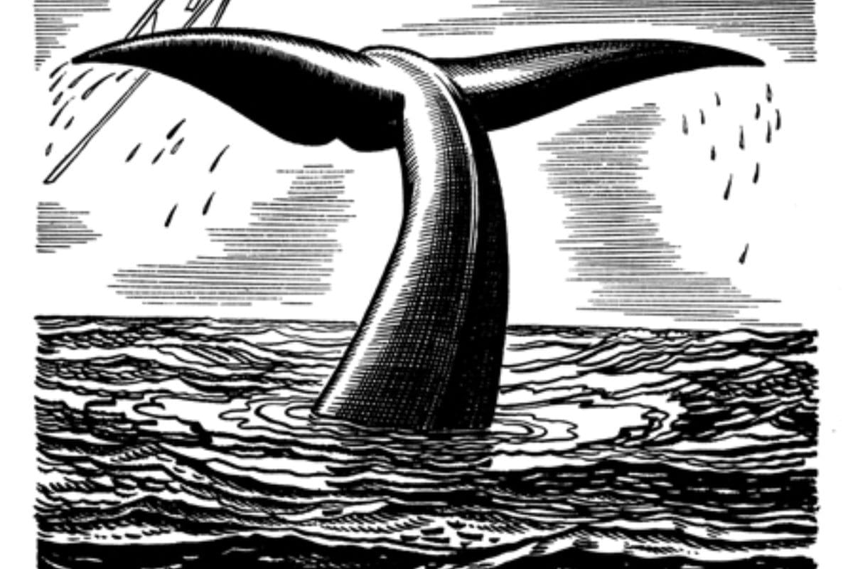 Rockwell Kent Moby Dick