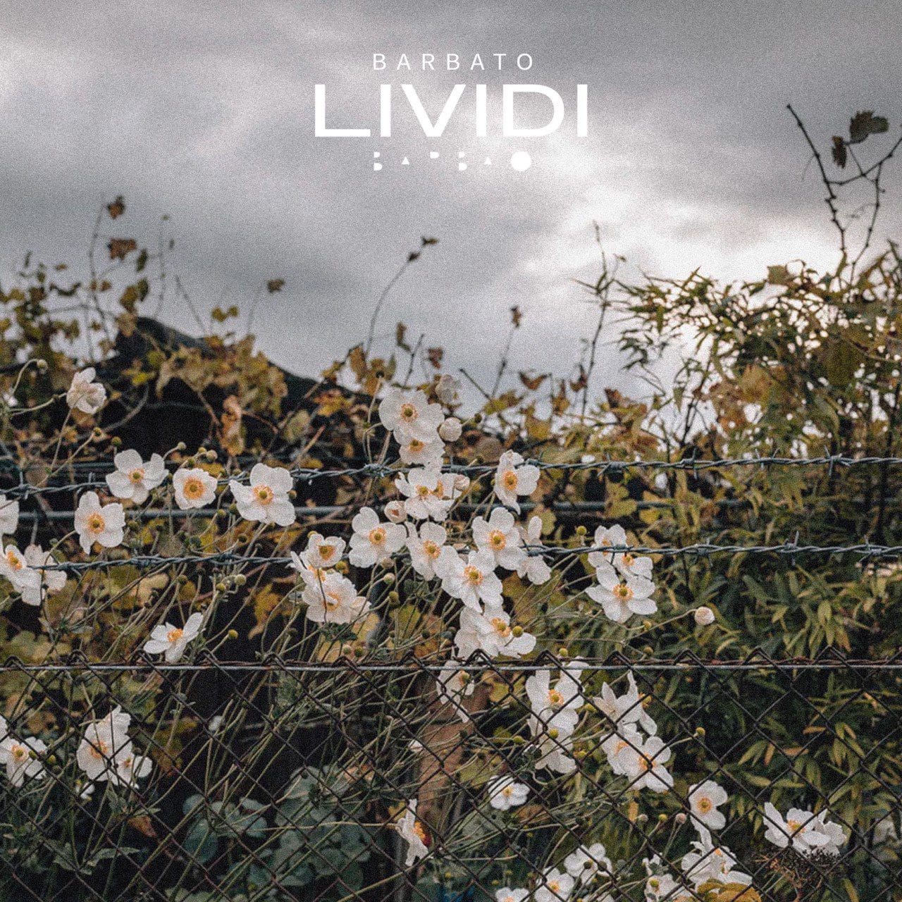 Lividi, il nuovo singolo di Barbato
